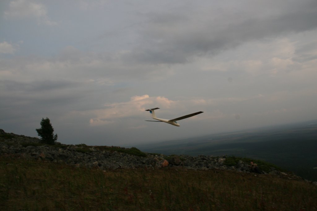 Photograph