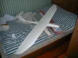 Photo Number 8