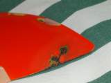Photo Number 9