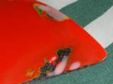 Photo Number 11