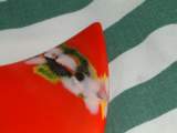 Photo Number 13
