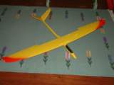Photo Number 14