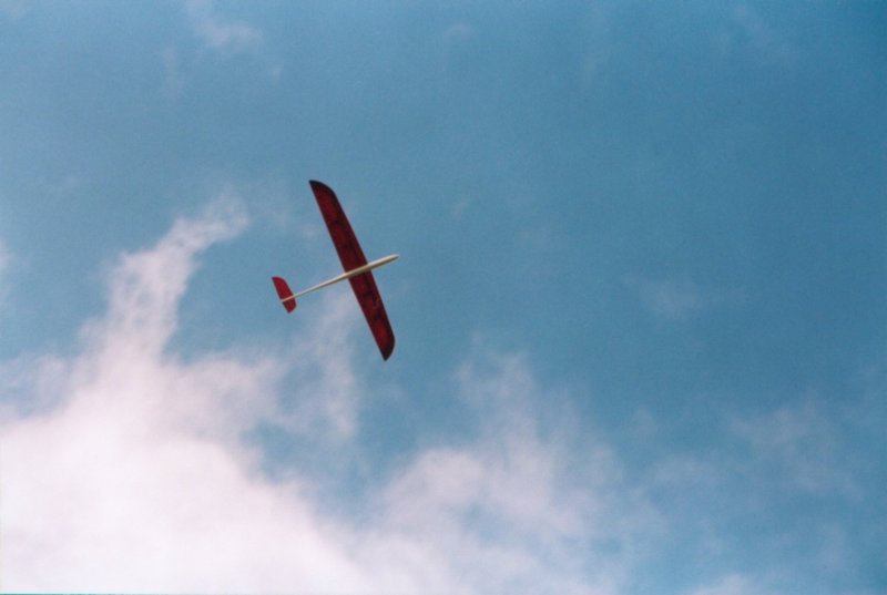 Photograph